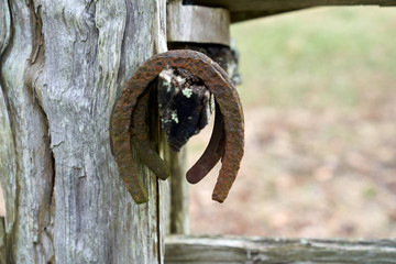 old rusty horse shoe