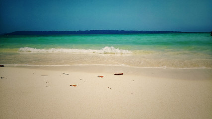 tropical beach with white sand