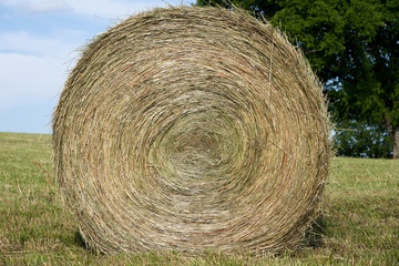 bales of hay