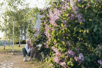 Little girl with two pigtails in white jacket is hugging her golden retriever and smiling while sitting near the lilac bush in the park. Sunset light.