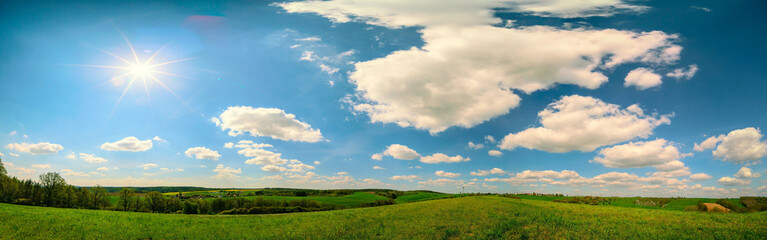 View of a wheat field in Kansas. grass on blue sky background. Green Kansas wheat