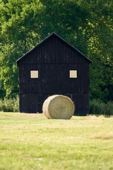 old barn in the field