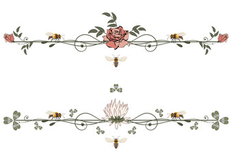 set of floral vector dividers with bees, rose and clover