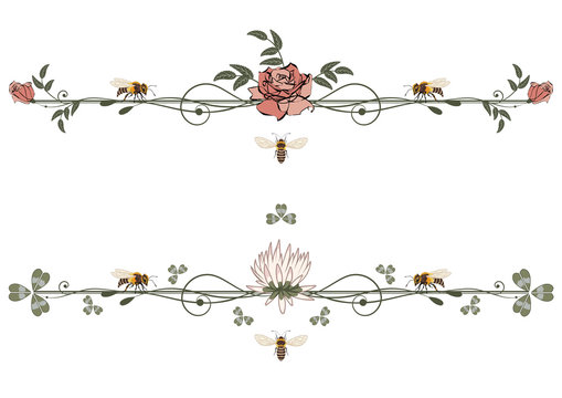 set of floral vector dividers with bees, rose and clover