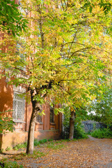 Obraz premium old town, homes for workers