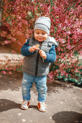 a child dressed in jeans standing near a flowering Bush with pink flowers with a dandelion in his hands