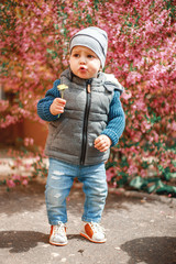 a child dressed in jeans standing near a flowering Bush with pink flowers with a dandelion in his hands