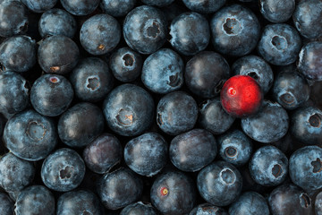 Be different concept. Blueberries background. Top view.