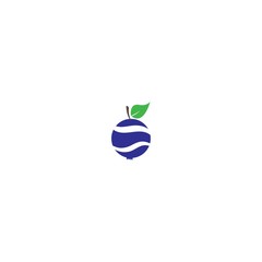 Blueberry logo vector template icon illustration