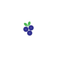 Blueberry logo vector template icon illustration