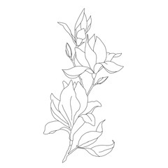 Seamless floral pattern. Coloring book. Page antistress coloring. Coloring book for adults. Page coloring for adults	