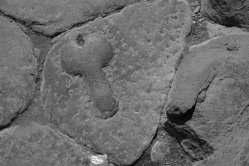 Archeology