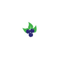 Blueberry logo vector template icon illustration