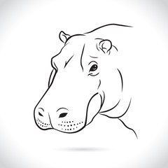Vector image of an Hippopotamus head on white background.