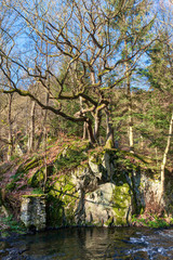 Harz Wasserfall Selketal Selkewasserfall