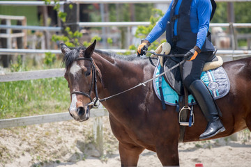 Fototapeta premium 乗馬クラブの馬と乗る人