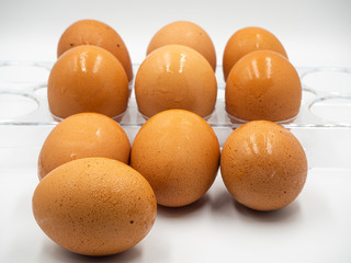Eggs are placed abstarctly and plastic rack  on the white background