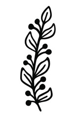 Single branch with leaves in ink Isolated on white background. Hand drawn vector decorative element in doodle style for wedding invitation and decoration, postcard, flyer, banner or website