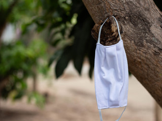 Fototapeta na wymiar Fabric mask Hanging on a branch can be washed and dried in the shade for reuse. Prevent infection from COVID-19 epidemic.White cotton sanitary face mask. cloth mask.