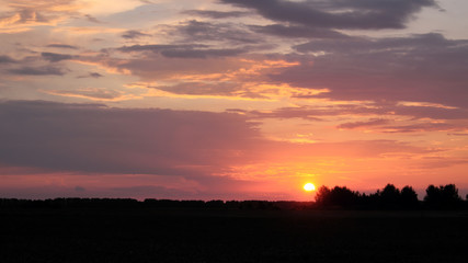 The sun sets over the horizon. Silhouettes of trees on sunset sky background. Colorful clouds.