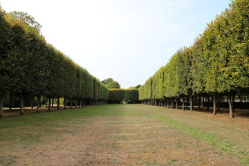 public park in compiègne (france)