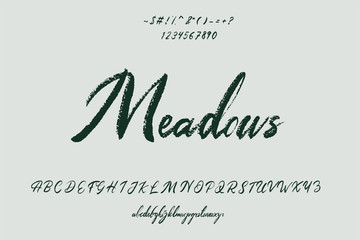 Hand-drawn typeface set isolated on the green. Brush painted characters: lowercase and uppercase. Vector logo font. Typography alphabet for your designs: logo, typeface, card, wedding invitation.