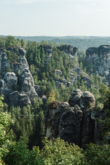 Fototapeta na wymiar Background. Bastei rock formations, Germany Saxon Switzerland National park, Germany. Close photo, summer morning landscape on the rocks with trees. Background. Nature of Europe. Vertical