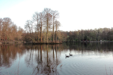 Fototapeta premium Lake