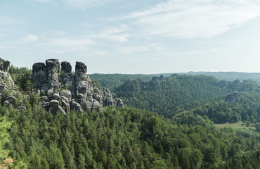 Fototapeta na wymiar Morning View of Sandstone Rocks in Saxon Switzerland in summer, Germany, Dresden. Green landscape on untouched nature, rocks with trees. Background. Nature of Europe. Copy space.