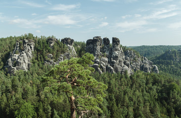 Fototapeta na wymiar Landscape on the woods and rocks of Saxon Switzerland National Park, Germany, on a sunny day with a beautiful sky. View from the viewpoint of Bastei in Saxon Switzerland Germany. Background. Wallpaper