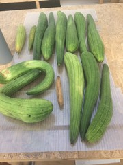 cucumbers on a wooden board