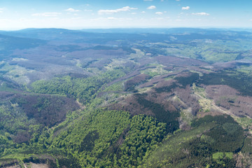 Waldsterben im Harz, Mittelgebirge