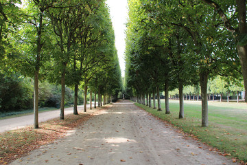 public park in compiègne (france)