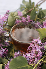 Obraz na płótnie Canvas transparent cup with tea on a background of purple lilac, spring background, tea cup on a background of lilac