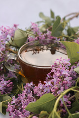 cup of tea surrounded by lilac, tea on a background of lilac, black tea in a transparent cup