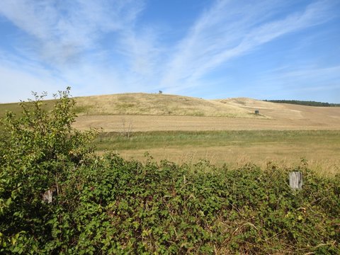 Feld und Wiesenlandschaft