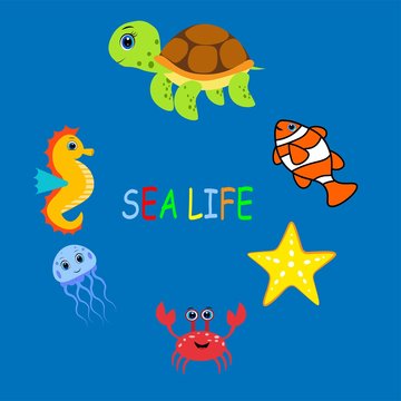 Cute colorful sea animals. Marine life. Ocean wildlife . Octopus, whale, seahorse, jellyfish,frog, turtle, crub, clown fish, sea star.