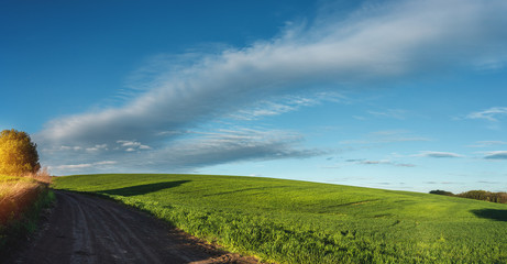 fertile agricultural fields for sowing and growing crops