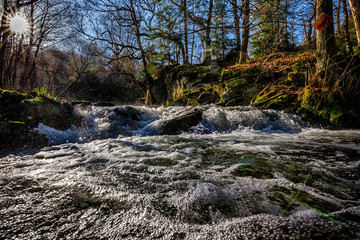Harz Wasserfall Selketal Selkewasserfall
