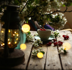 spring stillife,a cup with grapes and the blooming apple tree branch on the table.