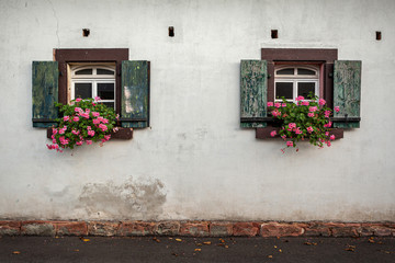 Fototapeta na wymiar zwei alte Fenster mit rosa Geranien