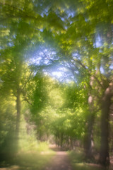 Obraz premium Abstract landscape, a photograph with a modified vintage lens