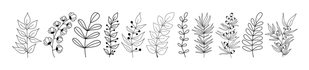 Set of black silhouettes of tropical leaves on an isolated white background. Botanical tree branches, palm leaf on the stem. Spring summer leaf. Concept design logo icons. Vector illustration.