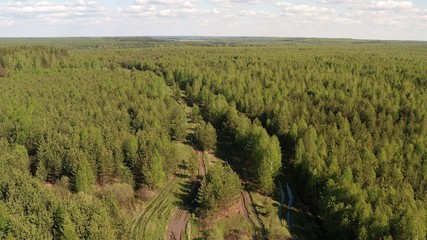 Fototapeta na wymiar Summer mixed forest shot from the air. Top view of the mixed forest. Aerial drone shot of beautiful scenery. Flying over the green trees.