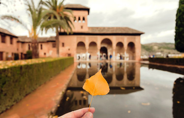 Autumn leaf and front of famous 14th century fortress complex of Alhambra, example of historical arabic architecture, Granada city of Spain