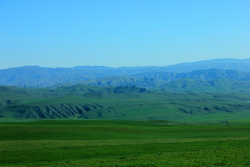 Beautiful, spring mountains in the green grass.