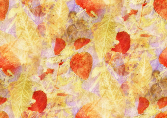 Seamless Botanical print