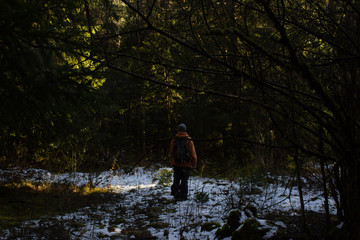 PErsona joven camina por el bosque con una chaqueta naranja en invierno.
