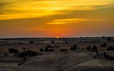 Sunset view with camel at Sam sand dunes of Jaisalmer the golden city, an ideal allure for travel enthusiasts
