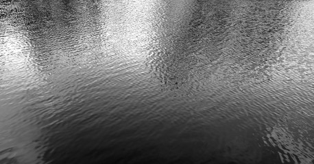 Reflection of trees and clouds in forest lake water. Black and white